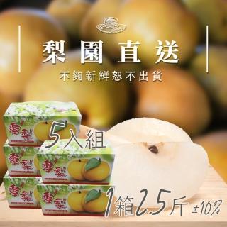 【梨園直送-中秋禮盒】職人栽培寶島大王級新興水梨1箱2.5斤2顆裝共五箱(不夠新鮮不出貨)