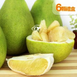 【預購-鶴柚-中秋禮盒】花蓮鶴岡得獎45年老欉文旦1箱(6顆入)