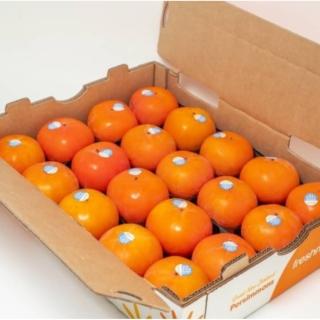 【馥果FruitGo】南非砂糖橘 小箱/5公斤(小橘子)