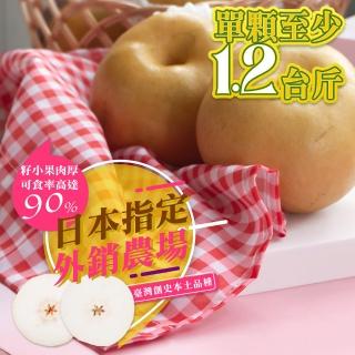 【果樹寶石】卓蘭最高鑑賞寶島甘露水梨大果兩箱 單箱至少7.5斤6顆入(外銷指定農場 巨脆雪藏甘甜)