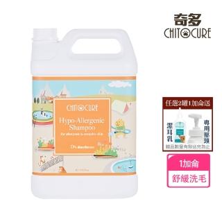 【奇多CHITOCURE】甲殼素蠟菊舒緩養護寵物洗毛乳 1加侖GL(貓.狗洗毛精.犬用沐浴乳)