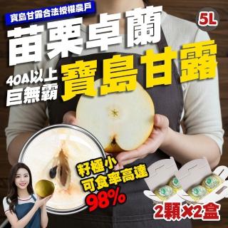 【下單才採最新鮮】卓蘭秀品寶島甘露大顆水梨7.5斤6顆入(黃金時間採收 風味更獨特)