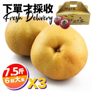 【下單才採最新鮮】卓蘭秀品寶島甘露大顆水梨7.5斤6顆入X3(黃金時間採收 風味更獨特)