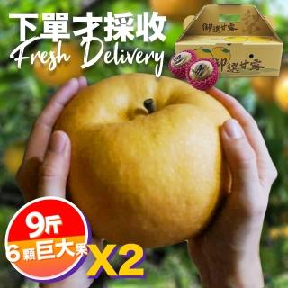 【下單才採最新鮮】卓蘭秀品寶島甘露巨大顆水梨9斤6顆入X2(黃金時間採收 風味更獨特)