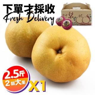 【下單才採最新鮮】卓蘭秀品寶島甘露大顆水梨2.5斤2顆入(黃金時間採收 風味更獨特)