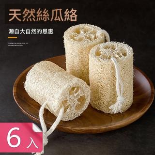 天然材質掛繩式絲瓜絡 廚房清潔菜瓜布易乾好清潔(6入)