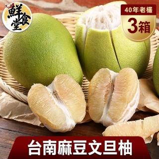 【鮮食堂 預購】老欉麻豆文旦柚3箱(6~8顆/箱/5斤)