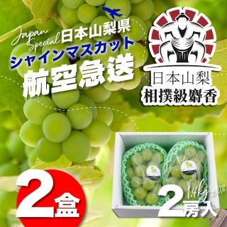 【果樹寶石】日本山梨縣相撲級麝香葡萄2大房禮盒X2(航空急送 富士山北側御選果園)