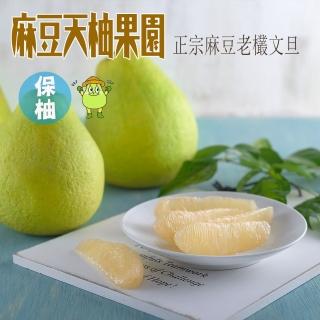 【麻豆天柚果園】保柚文旦10斤裝 約5-9個/箱(中秋 文旦 送禮)