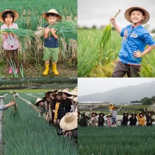 【雄獅旅遊】宜蘭-星寶蔥體驗農場 三星蔥農單人體驗&太平山國家森林遊樂區雙人門票(雄獅獨家聯合套票)