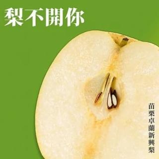【黑貓嚴選】苗栗卓蘭新興梨禮盒6入