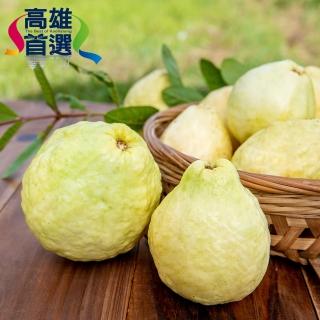 【高雄首選】小農盧定楠-有機轉型期土芭樂3公斤/箱(永田農家、軟Q口感、無農藥化學肥)