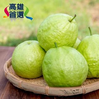 【高雄首選】小農盧定楠-有機轉型期珍珠芭樂6公斤/箱(永田農家、無農藥、無化學肥料)