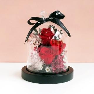 【CNFlower 西恩】玫瑰夢境 恆星花禮 三色(送禮/買花/恆星花/花禮)