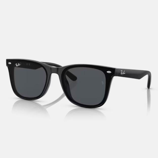 【RayBan 雷朋】膠框太陽眼鏡(RB4391D 65mm 多色任選)