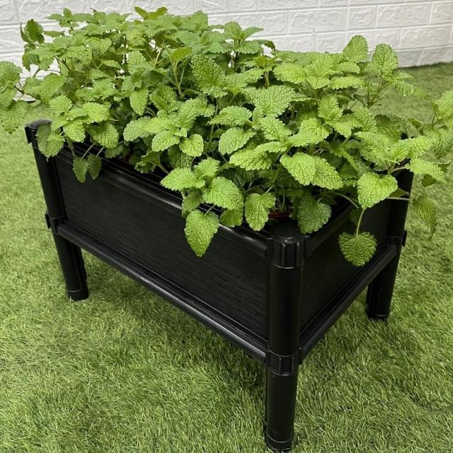 【田園樂】育材單層雙連通架高一節種植箱 60*45*31.5cm(組合種植箱種菜箱/籃耕離地栽培/)