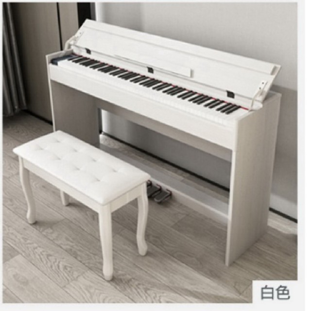 【HANLIN】P880 高階立式數位電鋼琴 直立款(88鍵 256複音 數位鋼琴 外槌漸進式配重)