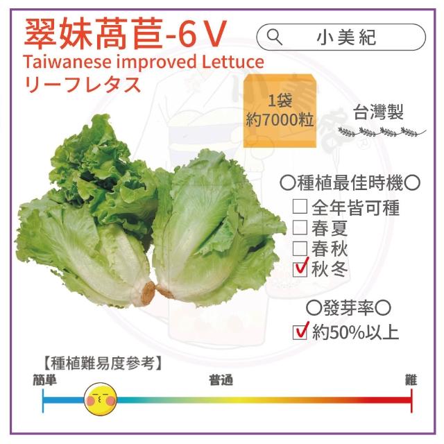 【小美紀】高優質 種子(翠妹萵苣 翠強青江菜 冬圓小白菜 青花椰菜芽 奶油窩苣 南瓜 大陸妹 菜苗)