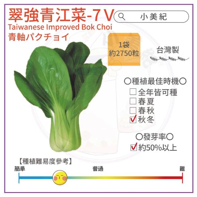 【小美紀】高優質 種子(翠妹萵苣 翠強青江菜 冬圓小白菜 青花椰菜芽 奶油窩苣 南瓜 大陸妹 菜苗)