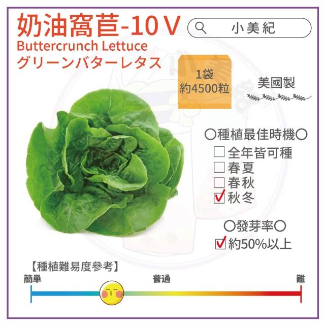 【小美紀】高優質 種子(翠妹萵苣 翠強青江菜 冬圓小白菜 青花椰菜芽 奶油窩苣 南瓜 大陸妹 菜苗)