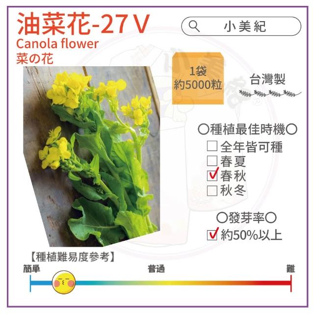 【小美紀】高優質 種子(翠妹萵苣 翠強青江菜 冬圓小白菜 青花椰菜芽 奶油窩苣 南瓜 大陸妹 菜苗)