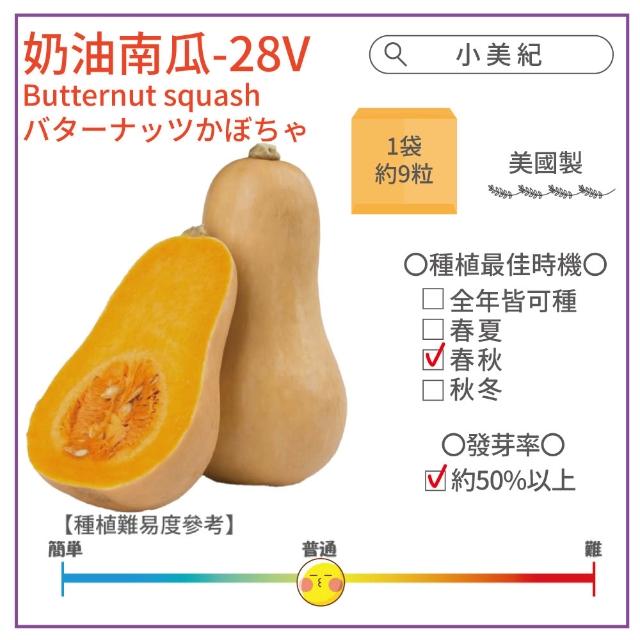 【小美紀】高優質 種子(翠妹萵苣 翠強青江菜 冬圓小白菜 青花椰菜芽 奶油窩苣 南瓜 大陸妹 菜苗)
