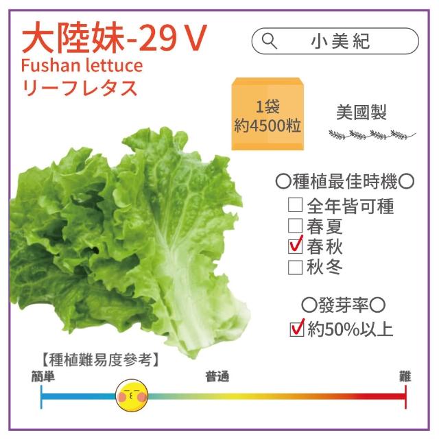 【小美紀】高優質 種子(翠妹萵苣 翠強青江菜 冬圓小白菜 青花椰菜芽 奶油窩苣 南瓜 大陸妹 菜苗)