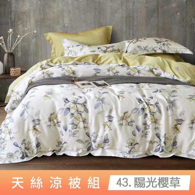 【貝兒居家寢飾生活館】頂級涼感60支天絲涼被(棉被/四季被/TENCEL/多款任選) 涼被/冷氣毯