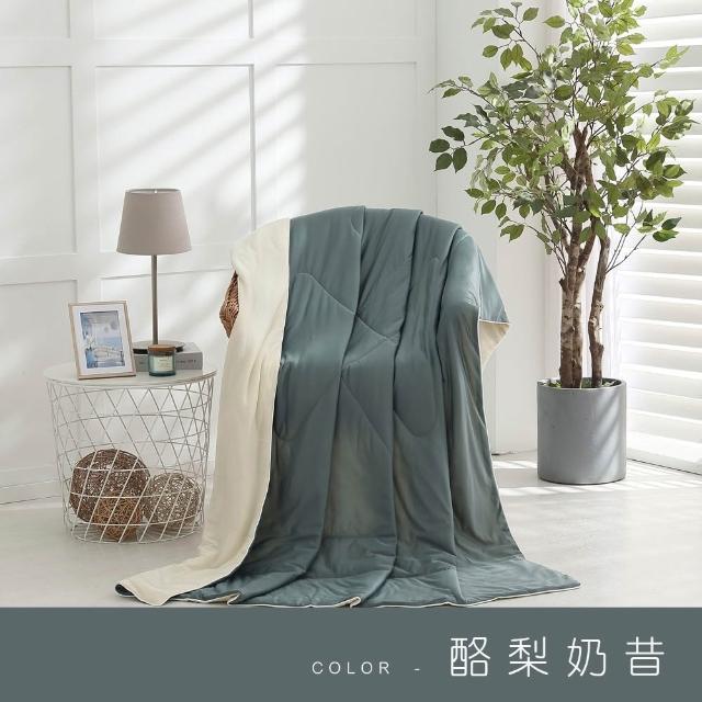 【ISHUR 伊舒爾】玩色雙面冰凍被1入 5x6尺(贈室內擴香組1入/涼被/夏被/多款任選)