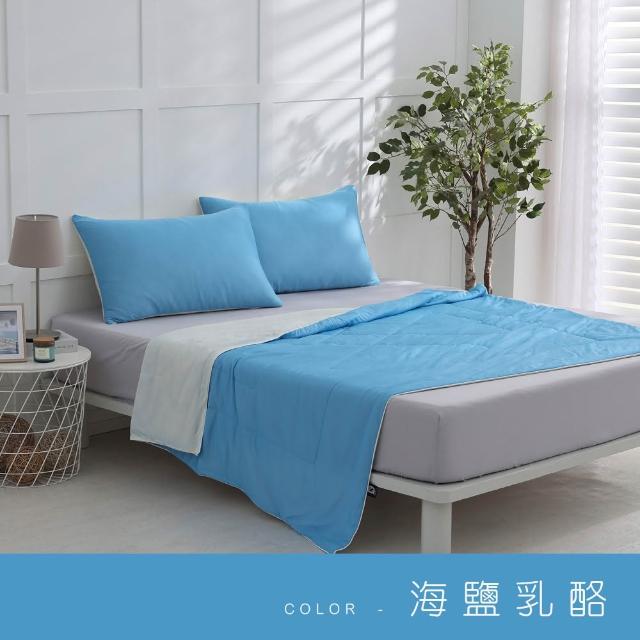 【ISHUR 伊舒爾】玩色雙面冰凍被+同款冰凍枕套 三件組(涼被/枕頭套/夏被/多款任選)
