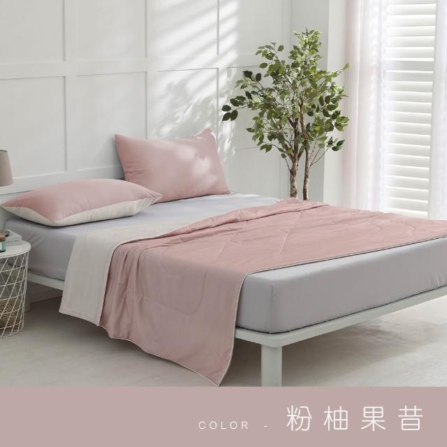 【ISHUR 伊舒爾】玩色雙面冰凍被+同款冰凍枕套 三件組(涼被/枕頭套/夏被/多款任選)