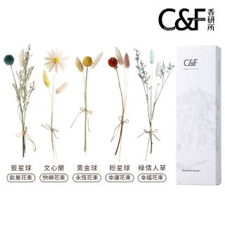 【C&F 香研所】天然乾燥花束(居家香氛/香水精油/擴香禮物)