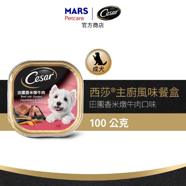 【Cesar 西莎】經典風味餐盒 100g*48入 寵物/狗罐頭/狗食(口味任選/狗罐/犬餐盒/熟齡犬/全齡適用)