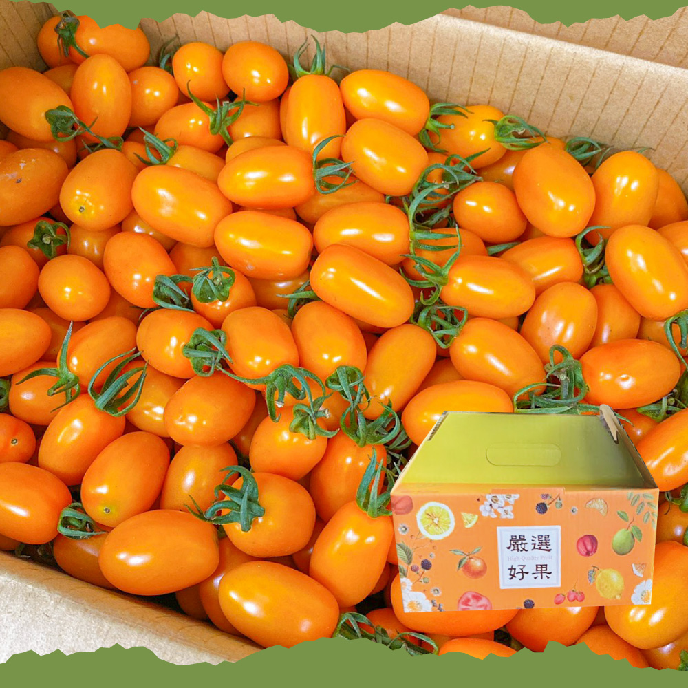 【初品果】美濃達哥橙蜜香小番茄淨重4斤x2盒(淨重無蒂頭_產銷履歷_年節禮盒)