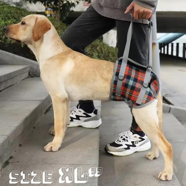 【Pet Universe 多寵宇宙】後肢輔助帶-英倫風(狗狗輔助帶 寵物輔助帶 狗輔助帶 老犬輔助帶 寵物輔助 老犬)