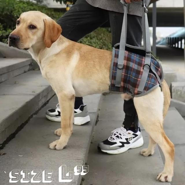 【Pet Universe 多寵宇宙】後肢輔助帶-英倫風(狗狗輔助帶 寵物輔助帶 狗輔助帶 老犬輔助帶 寵物輔助 老犬)