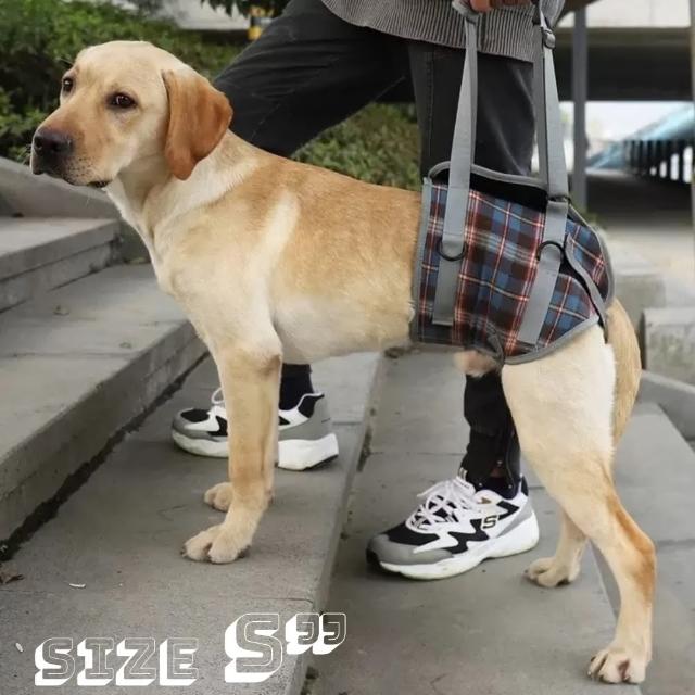【Pet Universe 多寵宇宙】後肢輔助帶-英倫風(狗狗輔助帶 寵物輔助帶 狗輔助帶 老犬輔助帶 寵物輔助 老犬)