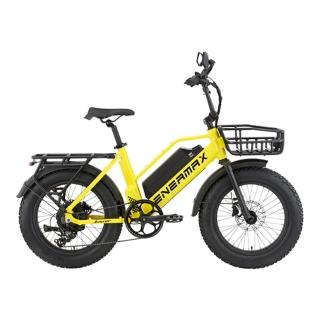 【AINERMA 安納瑪】Juster杰司特 低跨點胖胎電動輔助自行車(自行車/電輔車/越野登山車)