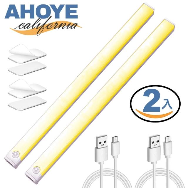 【AHOYE】可調光感應式櫥櫃燈 2入(感應燈 玄關燈 衣櫥燈 樓梯燈)
