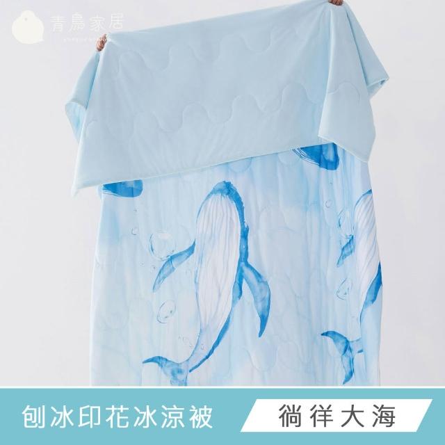 【青鳥家居】買1送1 夏季涼感系列任選 冰涼被 涼感床包 涼感被 床包 雙人涼被 涼被
