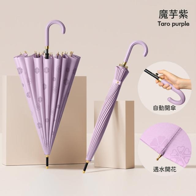 【Rainbow Valley】24骨抗風大傘面雙人長柄自動雨傘