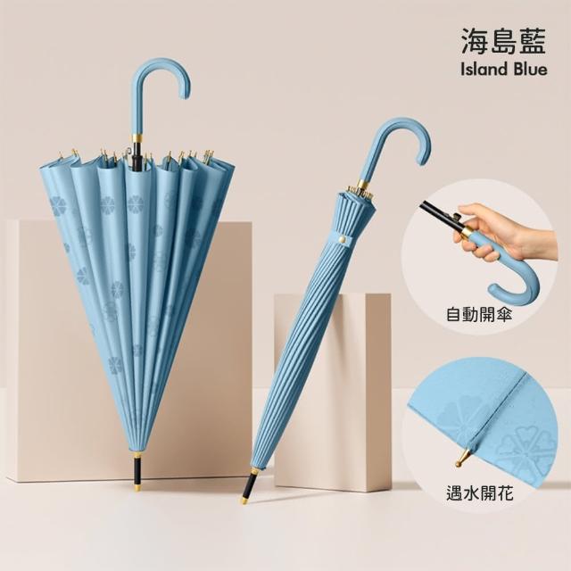 【Rainbow Valley】24骨抗風大傘面雙人長柄自動雨傘