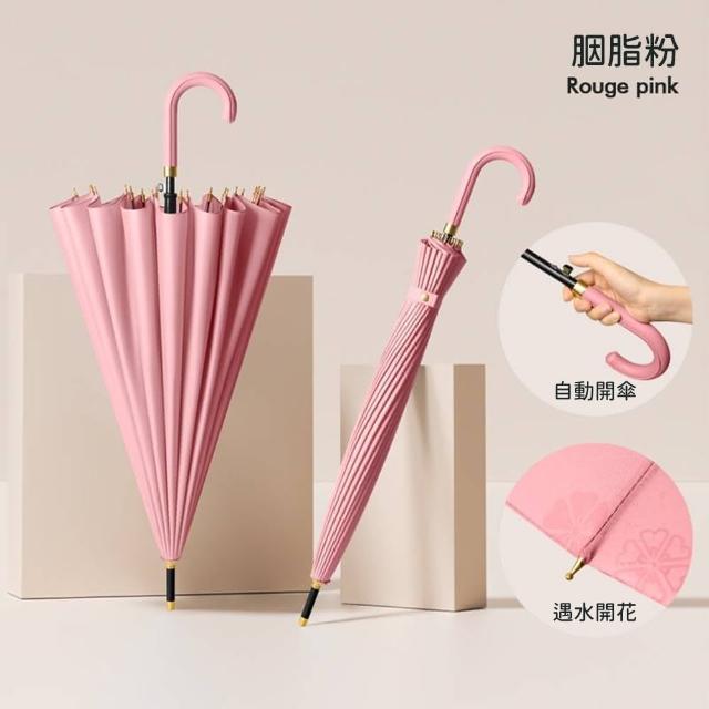 【Rainbow Valley】24骨抗風大傘面雙人長柄自動雨傘