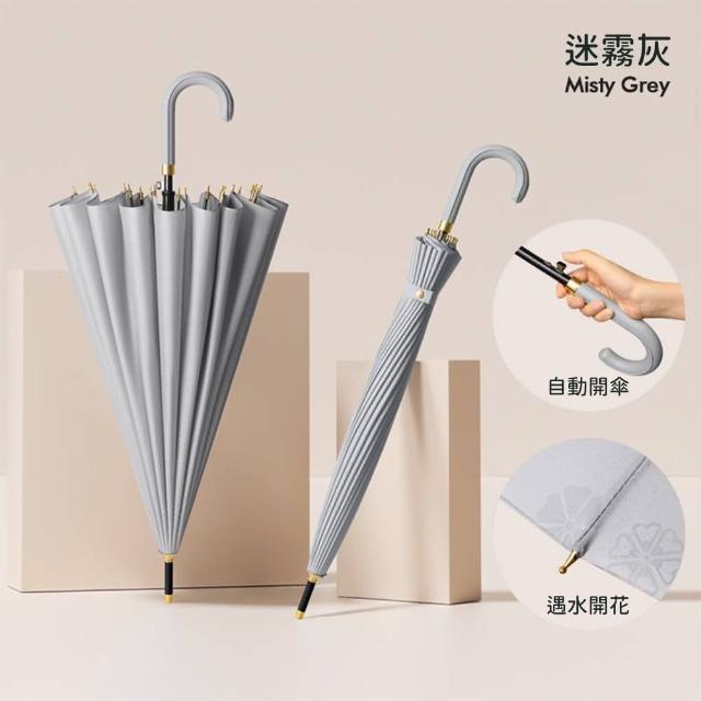 【Rainbow Valley】24骨抗風大傘面雙人長柄自動雨傘