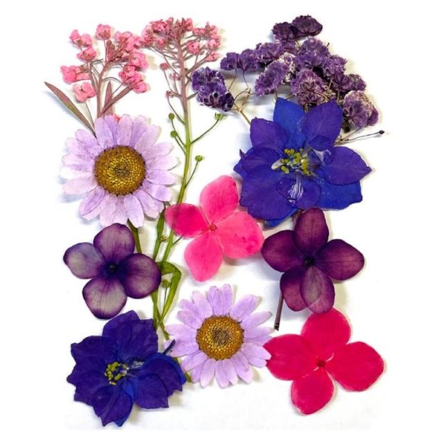 【A-ONE 匯旺】乾燥壓花 押花材料 永生花 植物花卉 手賬手工裝飾 DIY花朵 壓花材料包