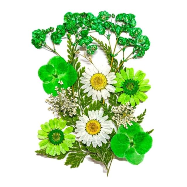 【A-ONE 匯旺】乾燥壓花 押花材料 永生花 植物花卉 手賬手工裝飾 DIY花朵 壓花材料包