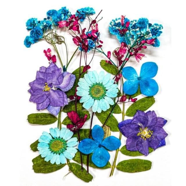 【A-ONE 匯旺】乾燥壓花 押花材料 永生花 植物花卉 手賬手工裝飾 DIY花朵 壓花材料包