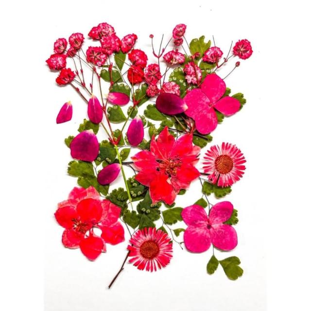 【A-ONE 匯旺】乾燥壓花 押花材料 永生花 植物花卉 手賬手工裝飾 DIY花朵 壓花材料包