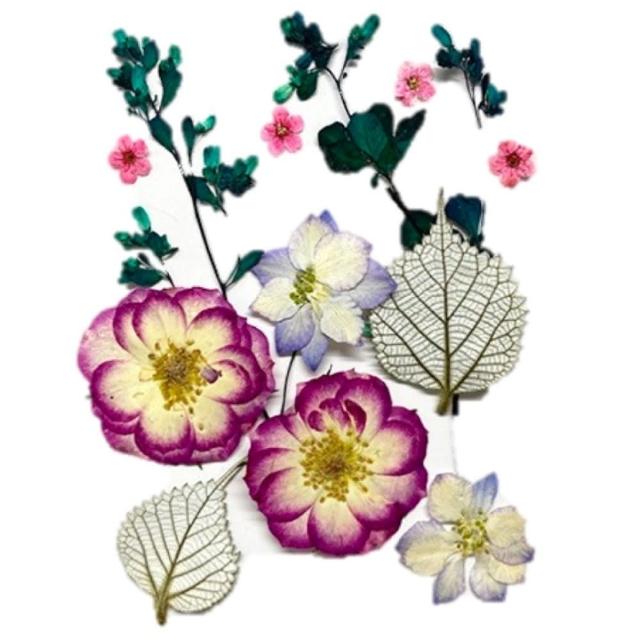 【A-ONE 匯旺】乾燥壓花 押花材料 永生花 植物花卉 手賬手工裝飾 DIY花朵 壓花材料包