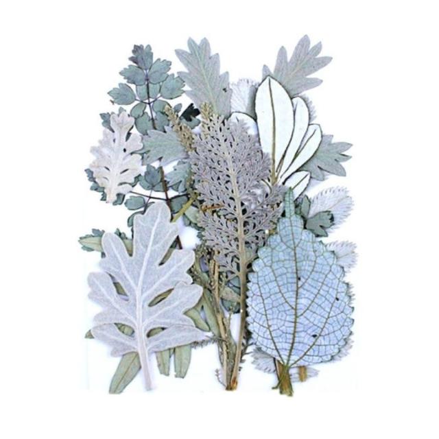 【A-ONE 匯旺】乾燥壓花 押花材料 永生花 植物花卉 手賬手工裝飾 DIY花朵 壓花材料包